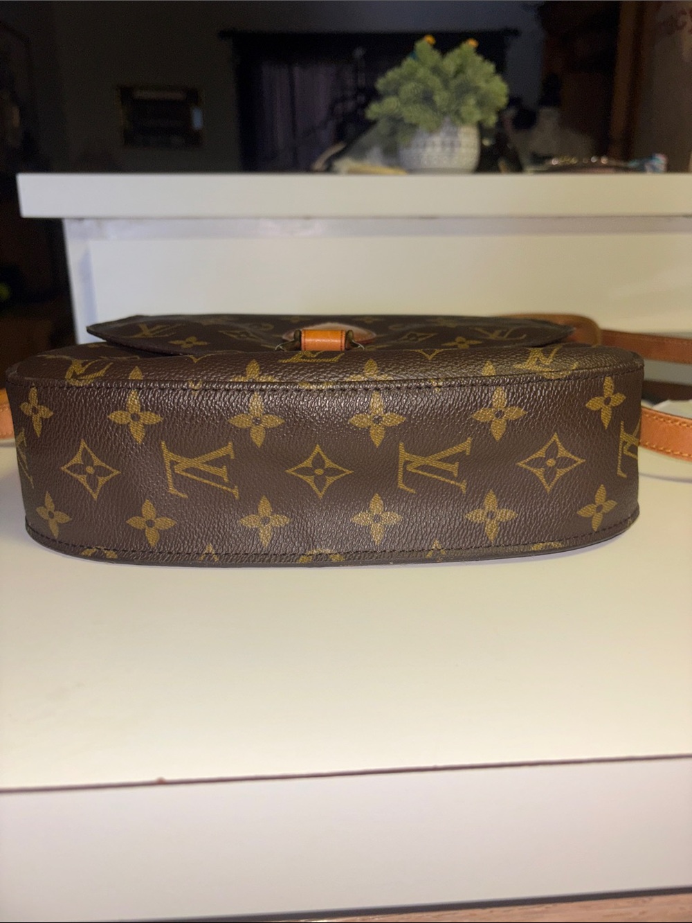 Louis Vuitton Large Monogram St Cloud Crossbody w/ Adjustable Strap & LV Wallet - Picture 14 of 17